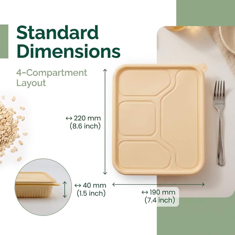 Four-Compartment Biodegradable Bagasse Meal Tray 220×190mm – Inflight & Catering - image 3 Four-Compartment Biodegradable Bagasse Meal Tray 220×190mm – Inflight & Catering - image 3