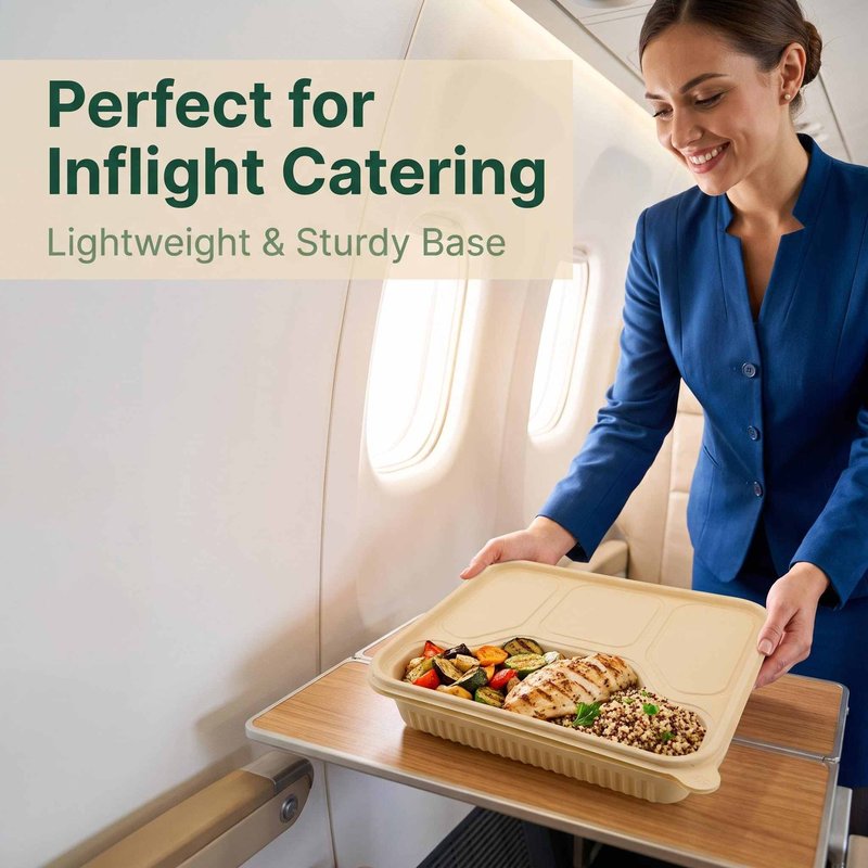 Four-Compartment Biodegradable Bagasse Meal Tray 220×190mm – Inflight & Catering - image 5 Four-Compartment Biodegradable Bagasse Meal Tray 220×190mm – Inflight & Catering - image 5